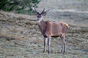 BUITEN BEELD Foto: 287610