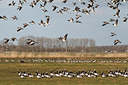 BUITEN BEELD Foto: 287633