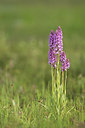 BUITEN BEELD Foto: 287676