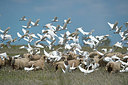 BUITEN BEELD Foto: 287699