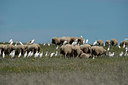 BUITEN BEELD Foto: 287702