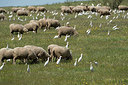 BUITEN BEELD Foto: 287704