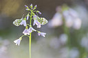 BUITEN BEELD Foto: 287714