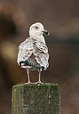 BUITEN BEELD Foto: 287742