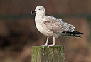 BUITEN BEELD Foto: 287743