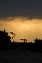 BUITEN BEELD Foto: 287763