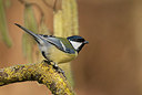 BUITEN BEELD Foto: 287775