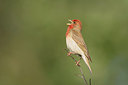 BUITEN BEELD Foto: 287804