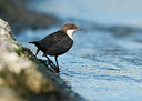BUITEN BEELD Foto: 287815