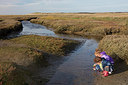 BUITEN BEELD Foto: 287874