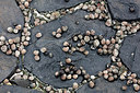 BUITEN BEELD Foto: 287877