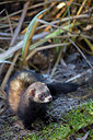 BUITEN BEELD Foto: 287901