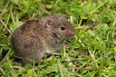 BUITEN BEELD Foto: 287910