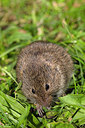 BUITEN BEELD Foto: 287962