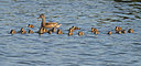 BUITEN BEELD Foto: 287977