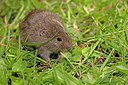 BUITEN BEELD Foto: 287979