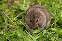 BUITEN BEELD Foto: 287988