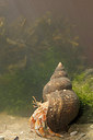BUITEN BEELD Foto: 288084