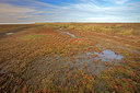 BUITEN BEELD Foto: 288106