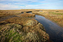 BUITEN BEELD Foto: 288107