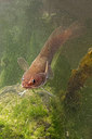 BUITEN BEELD Foto: 288247