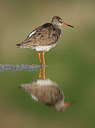 BUITEN BEELD Foto: 288320