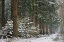 BUITEN BEELD Foto: 288341