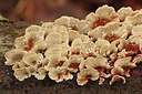 BUITEN BEELD Foto: 288396