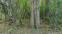 BUITEN BEELD Foto: 288450