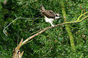 BUITEN BEELD Foto: 288495