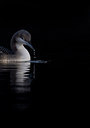 BUITEN BEELD Foto: 288523