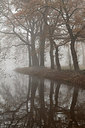 BUITEN BEELD Foto: 288593