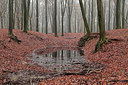 BUITEN BEELD Foto: 288624