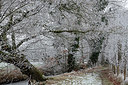 BUITEN BEELD Foto: 288629