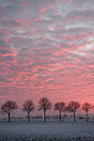 BUITEN BEELD Foto: 288648