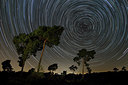 BUITEN BEELD Foto: 288746
