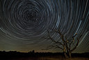 BUITEN BEELD Foto: 288747