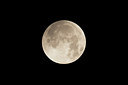 BUITEN BEELD Foto: 288756