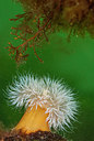 BUITEN BEELD Foto: 288791