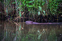 BUITEN BEELD Foto: 288805