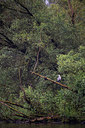BUITEN BEELD Foto: 288884