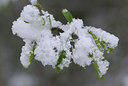 BUITEN BEELD Foto: 28002