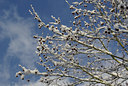 BUITEN BEELD Foto: 28051