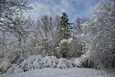 BUITEN BEELD Foto: 28058