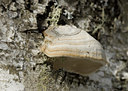 BUITEN BEELD Foto: 28060