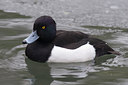 BUITEN BEELD Foto: 28123