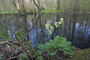 BUITEN BEELD Foto: 28151
