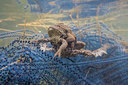 BUITEN BEELD Foto: 28203