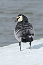BUITEN BEELD Foto: 28220