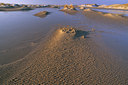 BUITEN BEELD Foto: 28242